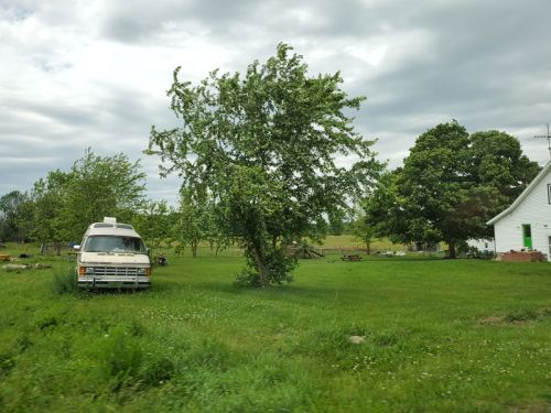 64522577_2376584192625733_7349405645864435712_n