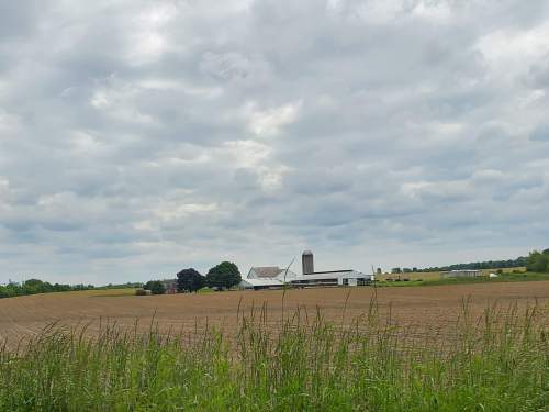 received_195245934704264