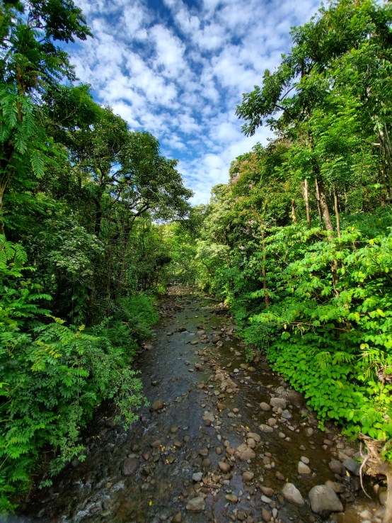 20190916_094141 - Copy