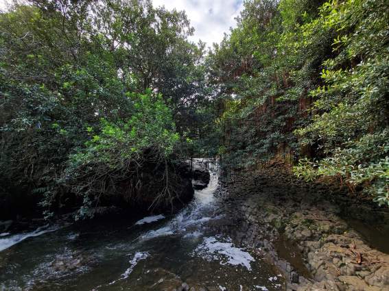 received_2336246319763709