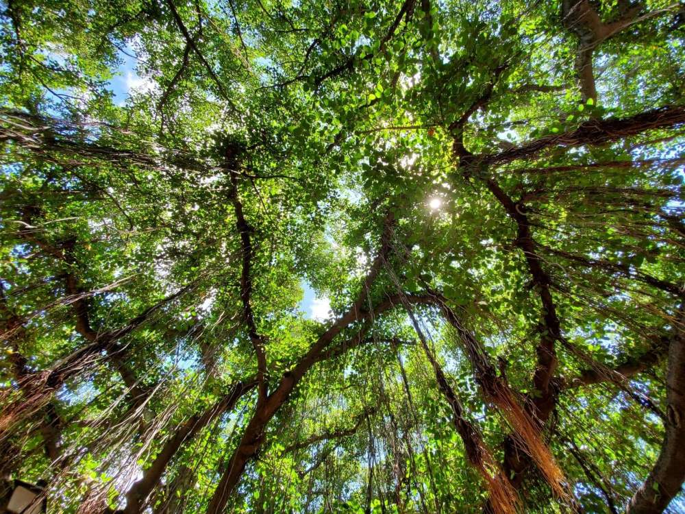 received_383770095650196