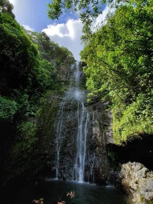 received_439603093341337