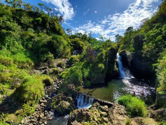 received_443883159670021