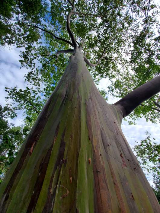 received_507090490124275